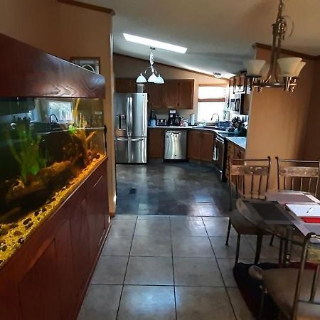 Private Pet Friendly Home Near Exotic Deer Farm Close To Pigeon Forge, Gatlinburg Tn Sevierville Kültér fotó