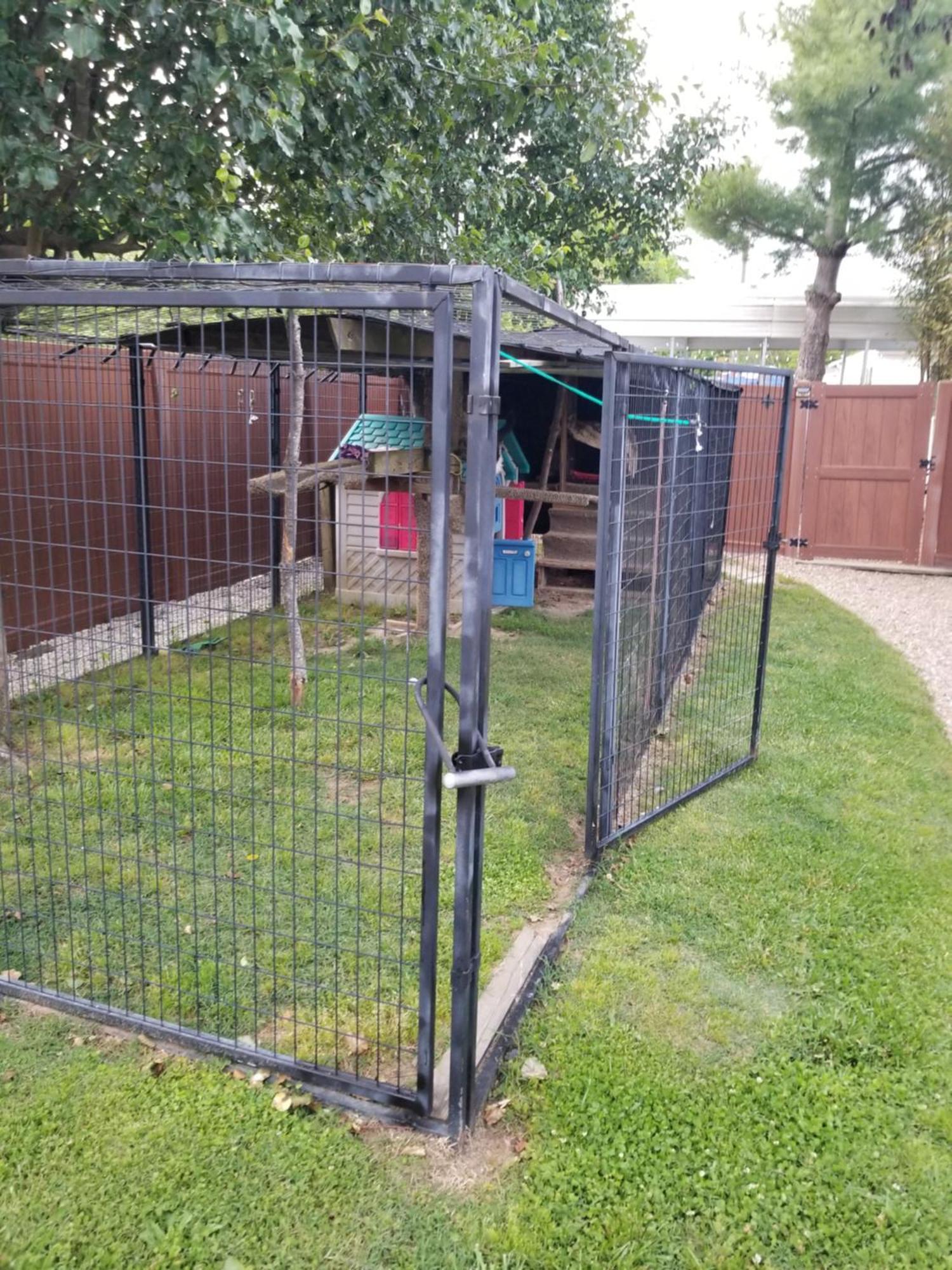 Private Pet Friendly Home Near Exotic Deer Farm Close To Pigeon Forge, Gatlinburg Tn Sevierville Kültér fotó