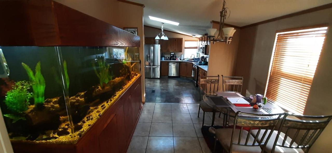 Private Pet Friendly Home Near Exotic Deer Farm Close To Pigeon Forge, Gatlinburg Tn Sevierville Kültér fotó